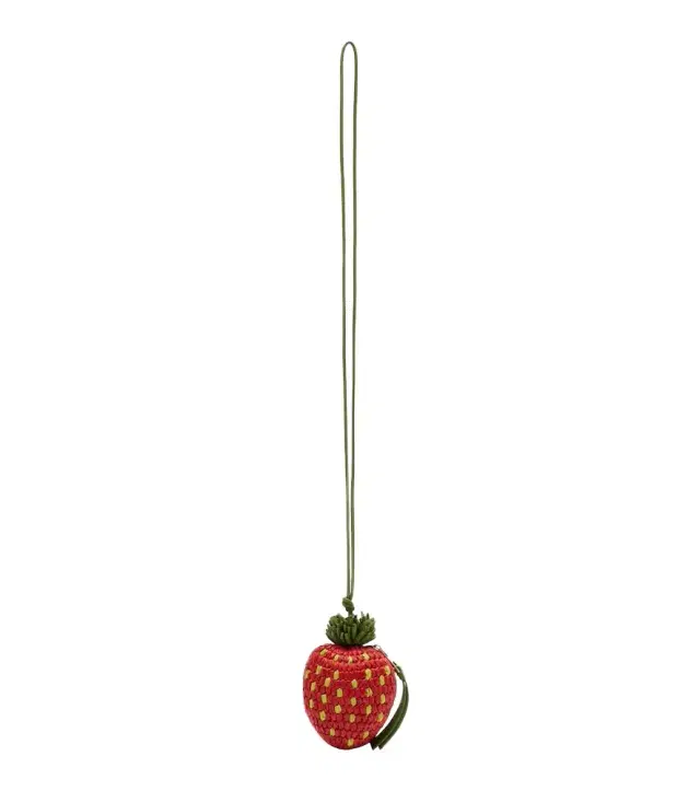 Loewe Strawberry crochet raffia coin purse with strap