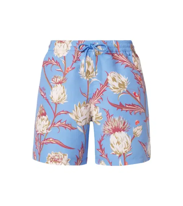 Loewe Printed swim trunks