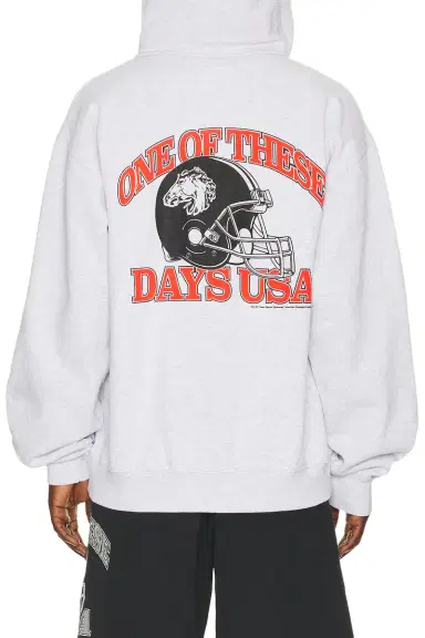 ONE OF THESE DAYS Days Usa Zip Up Hoodie | Thumbnail 3 ONE OF THESE DAYS Days Usa Zip Up Hoodie | Thumbnail 3