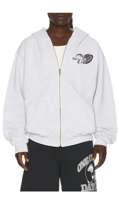 ONE OF THESE DAYS Days Usa Zip Up Hoodie | Thumbnail 6 ONE OF THESE DAYS Days Usa Zip Up Hoodie | Thumbnail 6