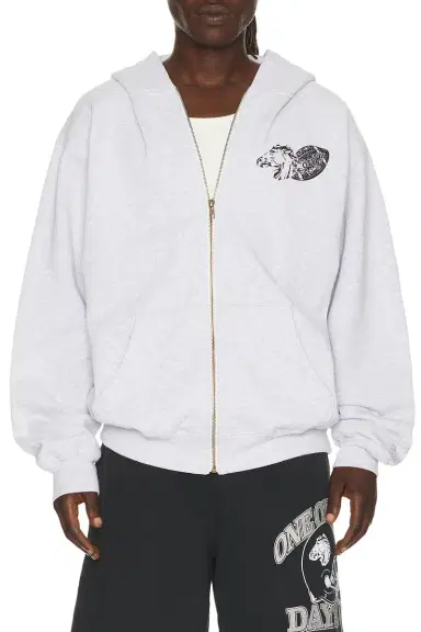 ONE OF THESE DAYS Days Usa Zip Up Hoodie | Thumbnail 1 ONE OF THESE DAYS Days Usa Zip Up Hoodie | Thumbnail 1