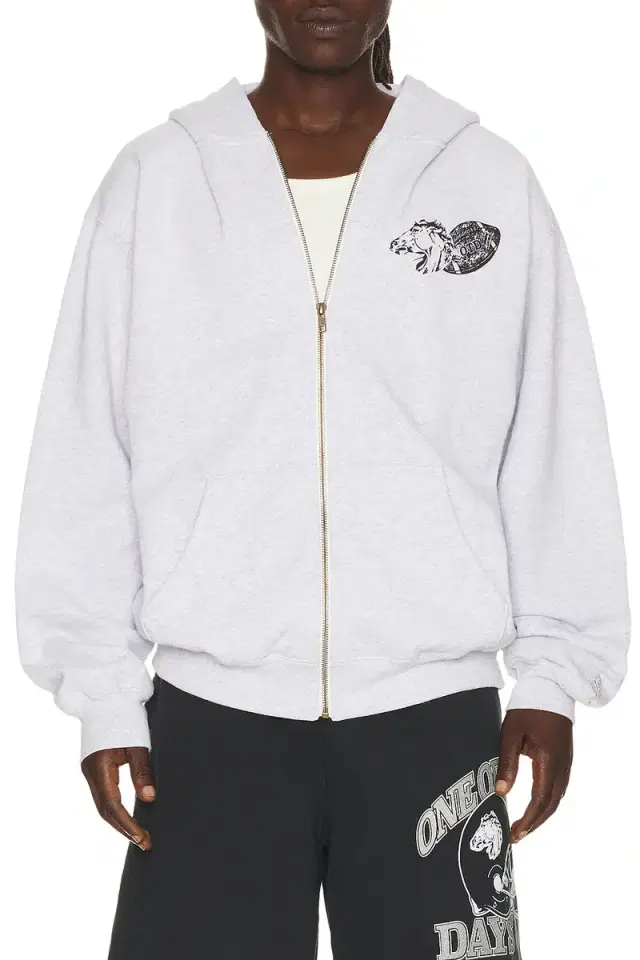 ONE OF THESE DAYS Days Usa Zip Up Hoodie