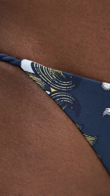 PQ Swim x AICE + OIVIA Rope Full Bikini Bottoms Antique Scroll | Thumbnail 5