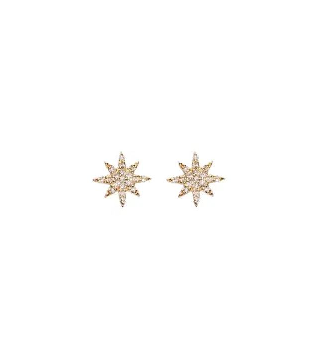 Northern Star 10kt gold earrings with diamonds