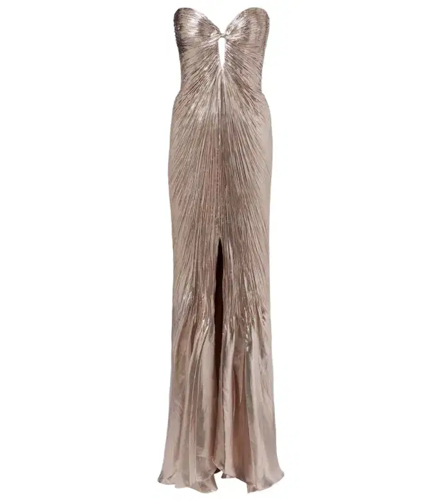 Maria Lucia Hohan Mirren silk-blend chiffon bustier gown
