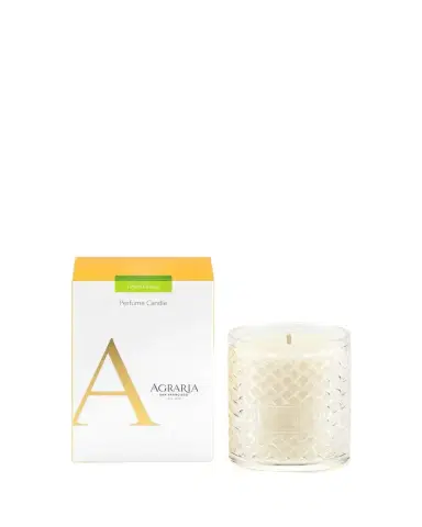 Agraria 7 oz. Lime & Orange Perfume Candle | Thumbnail 1