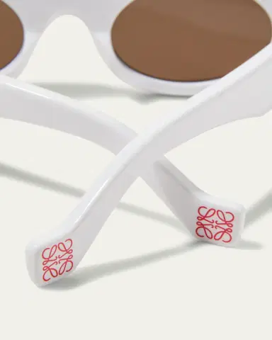 Loewe Oval Injection Plastic Sunglasses | Thumbnail 5
