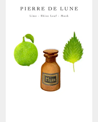 Baobab Collection Max 10 Les Prestigieuses Pierre de Lune Scented Candle | Thumbnail 5