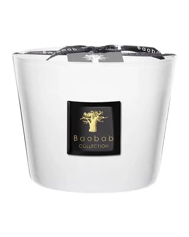 Baobab Collection Max 10 Les Prestigieuses Pierre de Lune Scented Candle