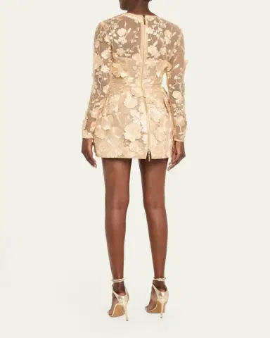 Bronx and Banco Bouquet Maraya Embroidered Illusion Mini Dress | Thumbnail 3