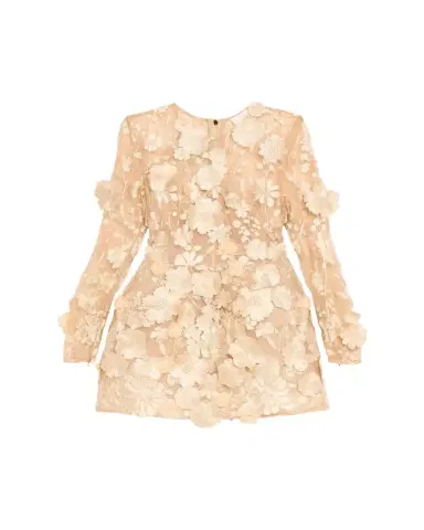 Bronx and Banco Bouquet Maraya Embroidered Illusion Mini Dress | Thumbnail 1