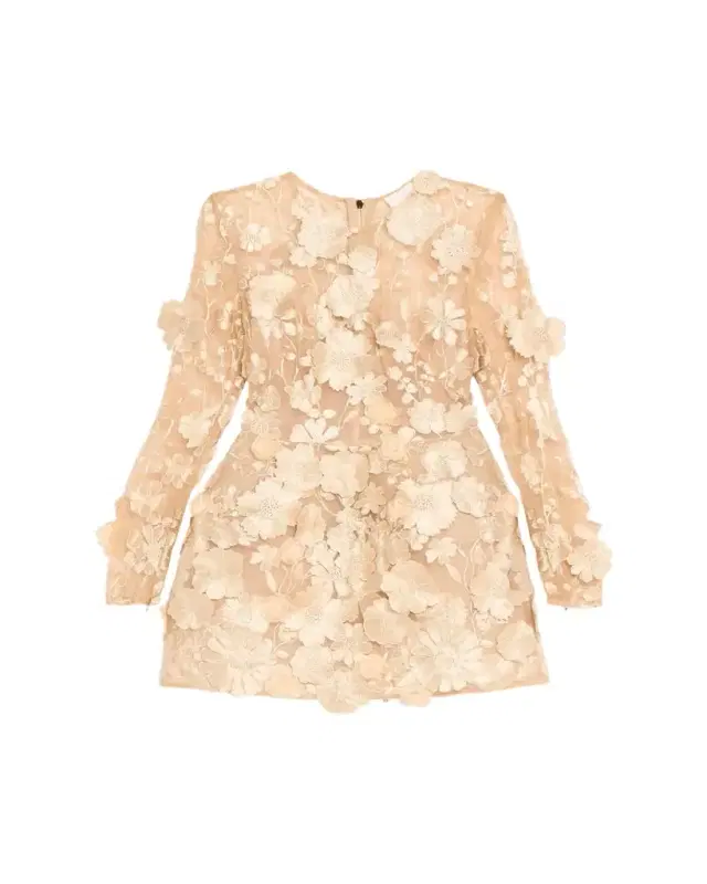Bronx Banco Bouquet Maraya Embroidered Illusion Mini Dress