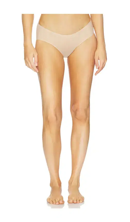 Chic Mesh Bikini Panty