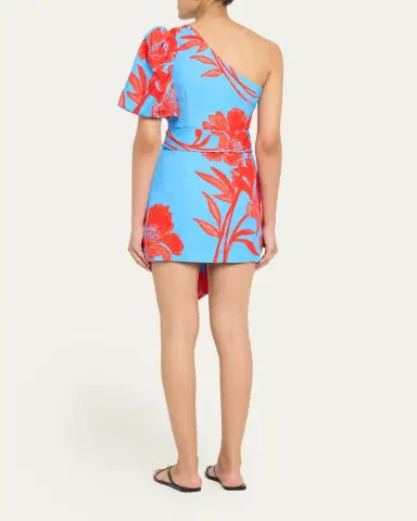 Cara Cara Lucia One-Shoulder Mini Dress | Thumbnail 3