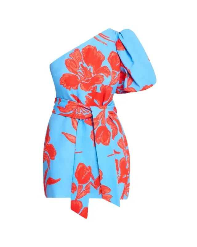 Cara Cara Lucia One-Shoulder Mini Dress