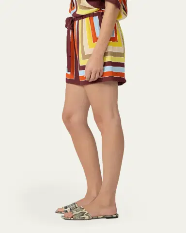 Diane von Furstenberg Delfine Geometric-Print Silk Shorts | Thumbnail 4 Diane von Furstenberg Delfine Geometric-Print Silk Shorts | Thumbnail 4