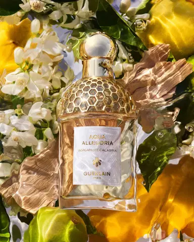 Guerlain Aqua Allegoria Bergamote Calabria Eau de Toilette Refill, 6.7 oz. | Thumbnail 2 Guerlain Aqua Allegoria Bergamote Calabria Eau de Toilette Refill, 6.7 oz. | Thumbnail 2