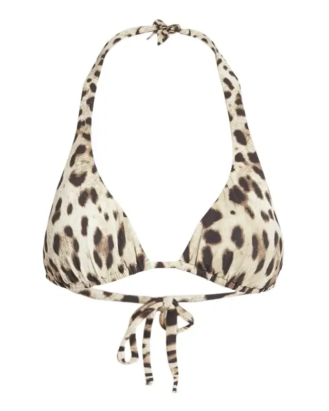 Dolce & Gabbana Leopard-Print Triangle Bikini Top