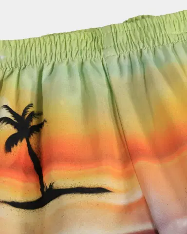 Molo Boy 's Solar Palm Tree Shorts, Size -2 | Thumbnail 3