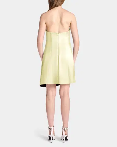 Kate Barton Kate Strapless Draped Liquid-Effect Mini Dress | Thumbnail 2