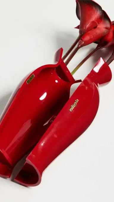 Cult Gaia Florence Clutch Vermilion One Size | Thumbnail 6