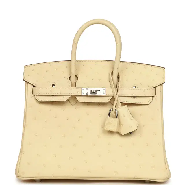 hermes Hermes Birkin 25 Vanille Ostrich Palladium Hardware