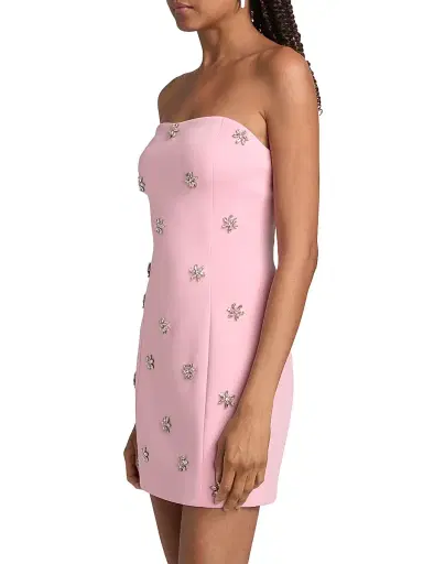 Generation Love Women's Pixie Crystal Strapless Minidress - Soft Rose Clear - Size XL | Thumbnail 4