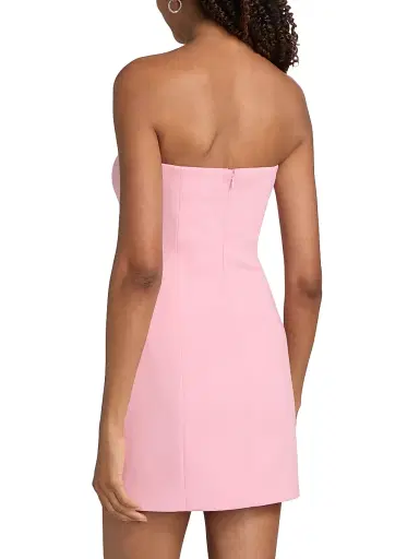 Generation Love Women's Pixie Crystal Strapless Minidress - Soft Rose Clear - Size XL | Thumbnail 5