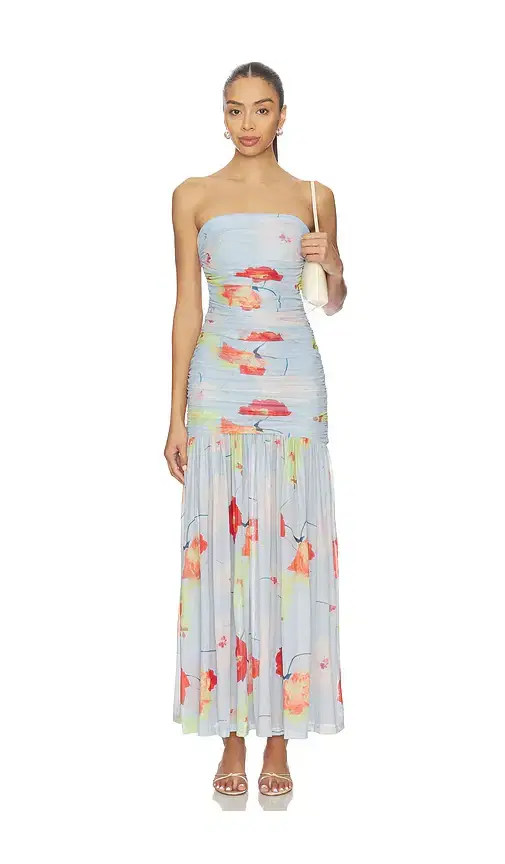 Bardot Solana Printed Mesh Maxi Dress