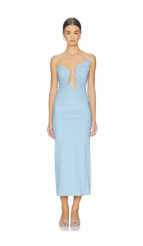 Julane Mesh Midi Dress