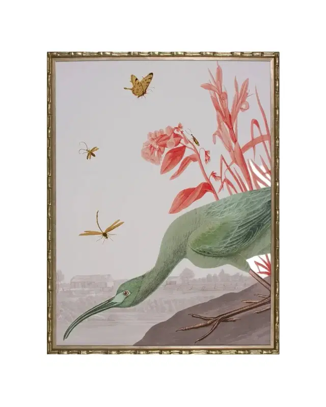 Shadow Catchers "The Glossy Ibis ~Tropical~" Wall Art
