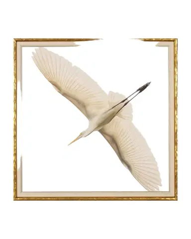 Shadow Catchers "Flying Egret" Giclee | Thumbnail 1 Shadow Catchers "Flying Egret" Giclee | Thumbnail 1