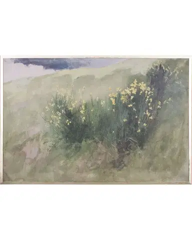 Shadow Catchers "Wildflower Landscape" Framed Giclee | Thumbnail 1 Shadow Catchers "Wildflower Landscape" Framed Giclee | Thumbnail 1