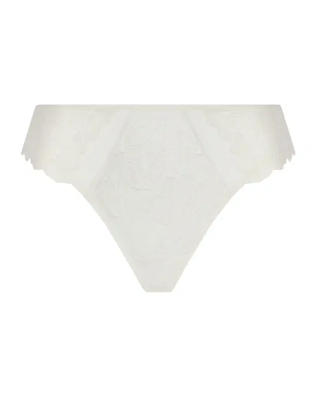 Lise Charmel Tulle & Jacquard Italian Briefs