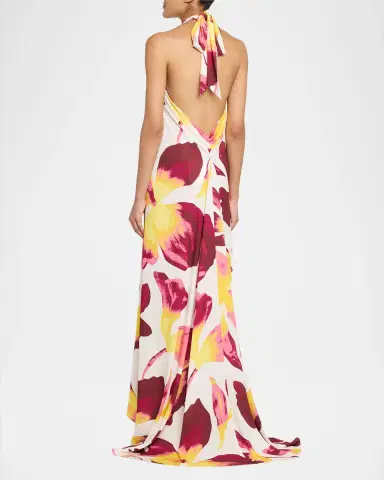 Diane von Furstenberg Tamsin Backless Floral-Print Halter Maxi Dress | Thumbnail 3 Diane von Furstenberg Tamsin Backless Floral-Print Halter Maxi Dress | Thumbnail 3