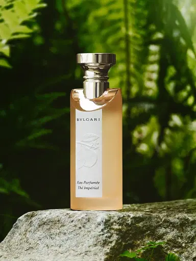 BVLGARI Eau Parfumée Thé Impérial Eau de Parfum 5 oz | Thumbnail 7 BVLGARI Eau Parfumée Thé Impérial Eau de Parfum 5 oz | Thumbnail 7