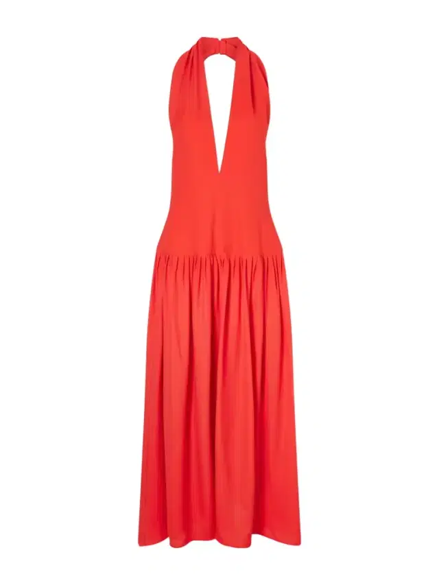 Tala Pleated Georgette Halterneck Maxi Dress