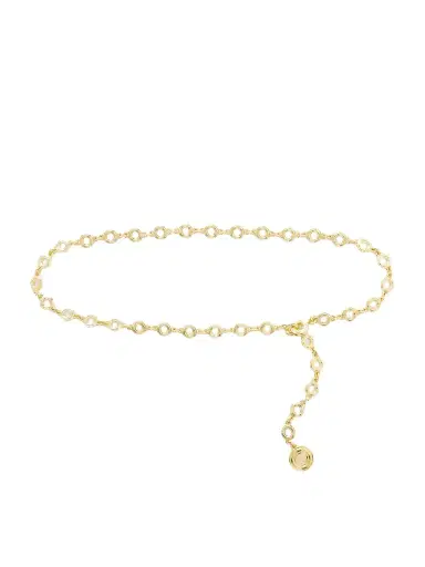 Déhanche Elysées Gold-tone Chain Belt | Thumbnail 1 Déhanche Elysées Gold-tone Chain Belt | Thumbnail 1