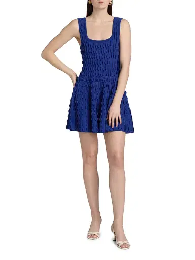 Simkhai Women's Vanna Scalloped Knit Minidress - Blueberry - Size XL | Thumbnail 2