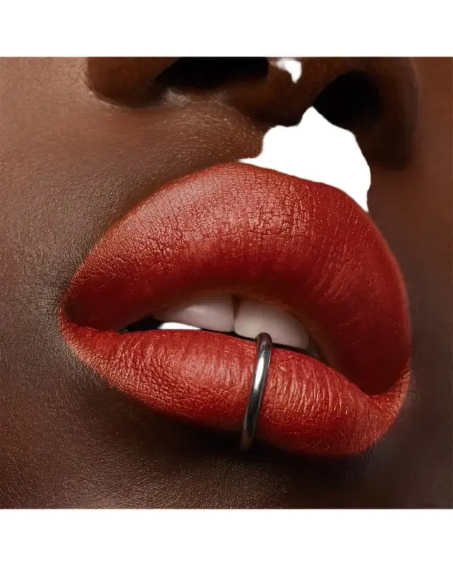 Yves Saint Laurent Beaute The Slim Velvet Radical