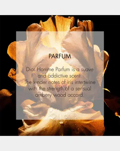 Dior Homme Parfum | Thumbnail 2 Dior Homme Parfum | Thumbnail 2