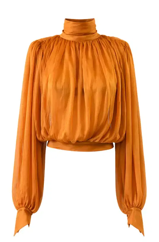 Long Sleeve Top with Scarf Detail