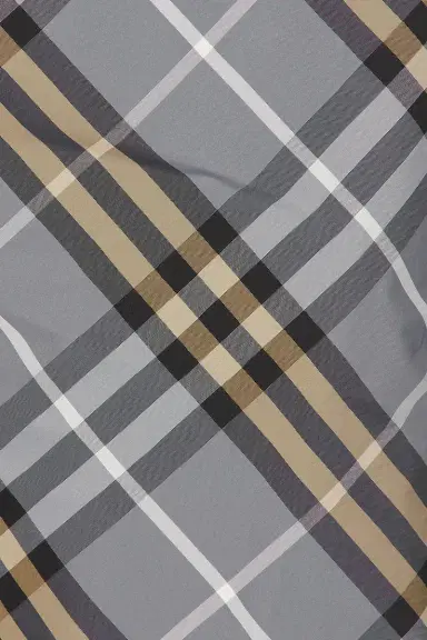 Burberry Seb Check Swim Short | Thumbnail 5 Burberry Seb Check Swim Short | Thumbnail 5