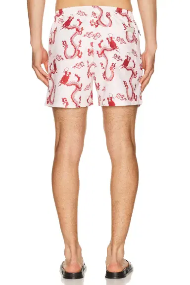 OAS Nimbus Swim Shorts | Thumbnail 2