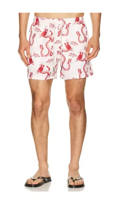 OAS Nimbus Swim Shorts | Thumbnail 5