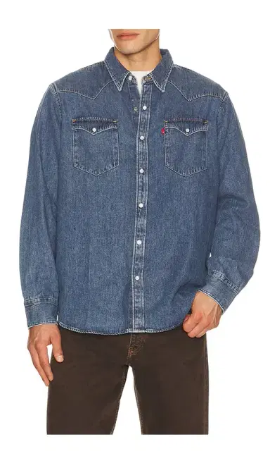 Levi's Barstow Western Standard Shirt | Thumbnail 5