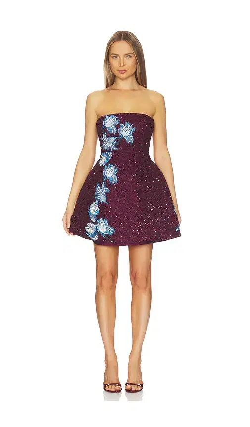 Floral Wine Embroidered Dress