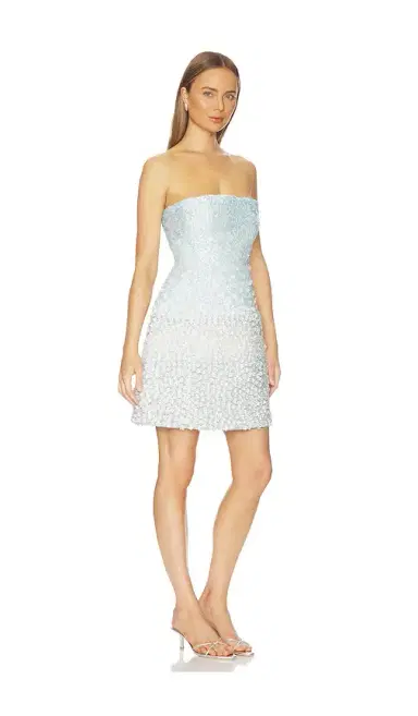 LA FUORI Mystical Garden Embroidered Dress | Thumbnail 2
