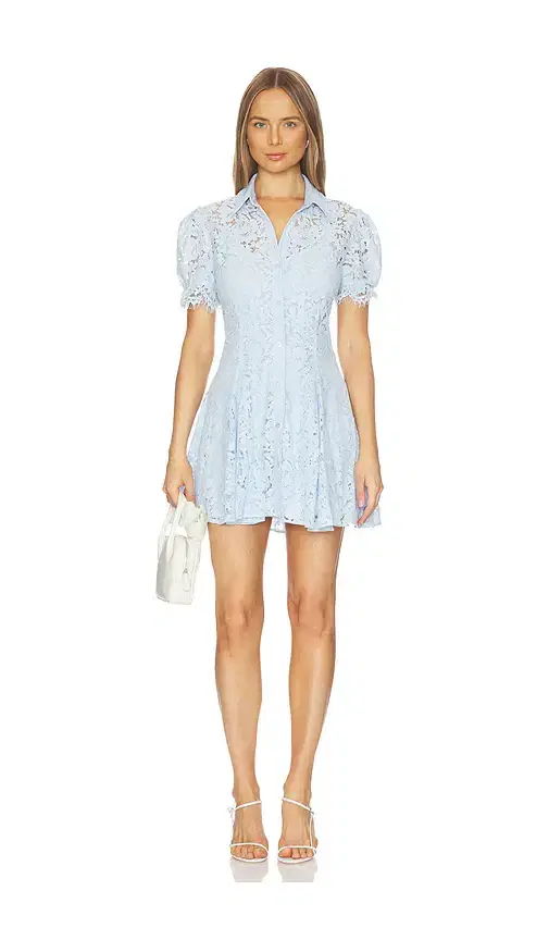 Swanetta Lace Dress