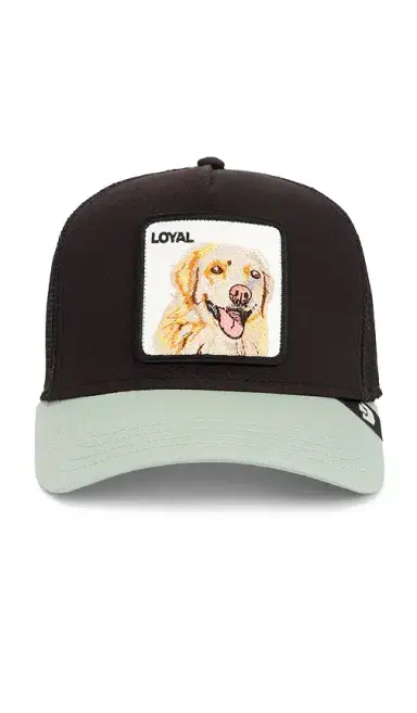 Goorin Brothers The Loyal Dog Trucker Hat | Thumbnail 1 Goorin Brothers The Loyal Dog Trucker Hat | Thumbnail 1